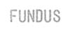 Fundus