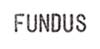 Fundus